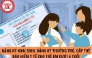 Nguyên tắc thực hiện liên thông các thủ tục hành chính khi thực hiện đăng ký Khai sinh, đăng ký thường trú, cấp thẻ bảo hiểm y tế cho trẻ em dưới 6 tuổi